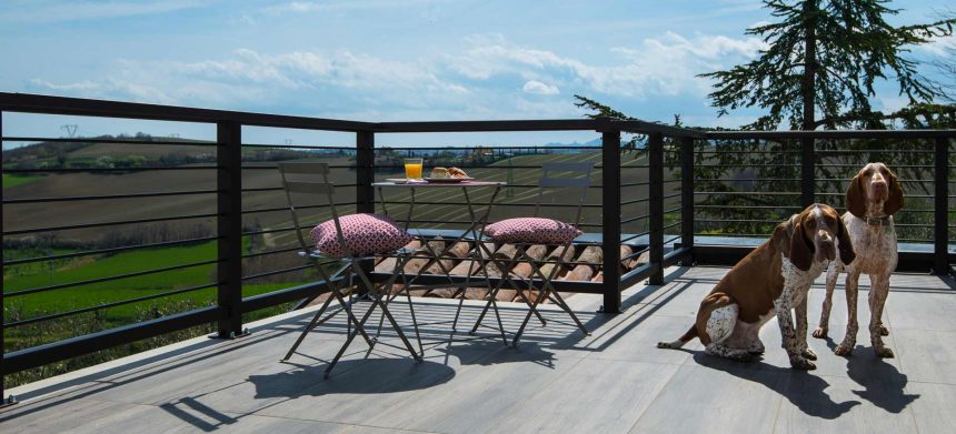 Il b&b dog friendly amato anche da chi non ha cani