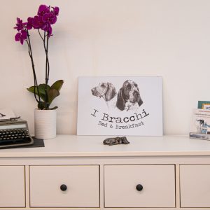 Vacanza dog friendly a Rimini