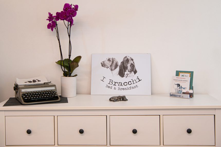 Vacanza dog friendly a Rimini